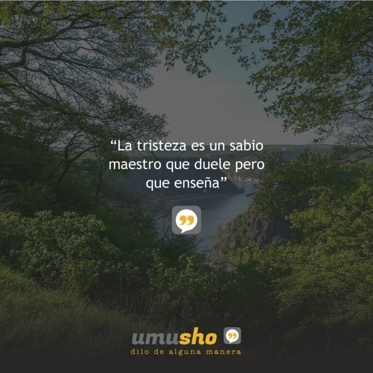 60 frases tristes de la vida para llorar y reflexionar